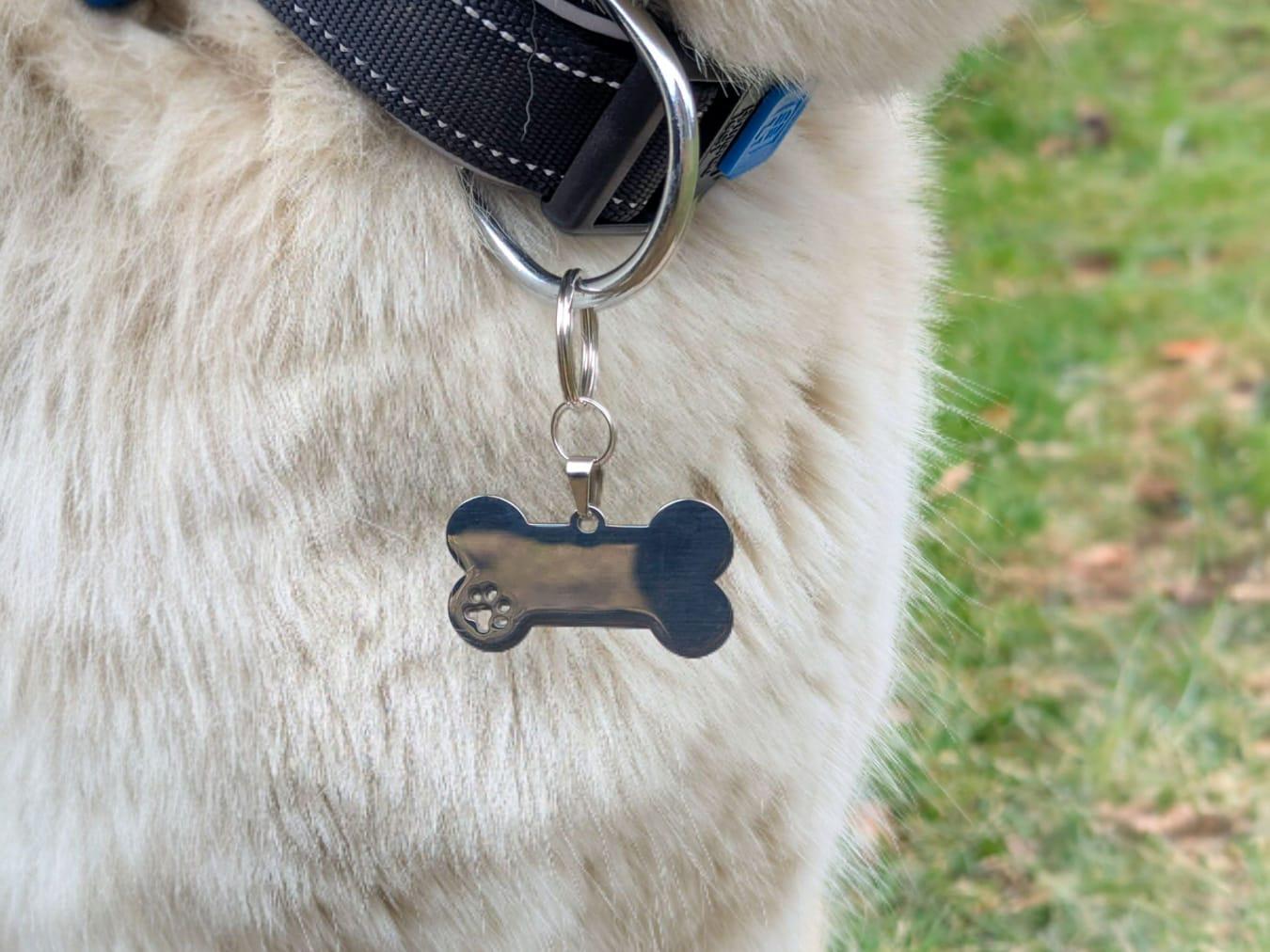 Hundemarke Knochen personalisiert