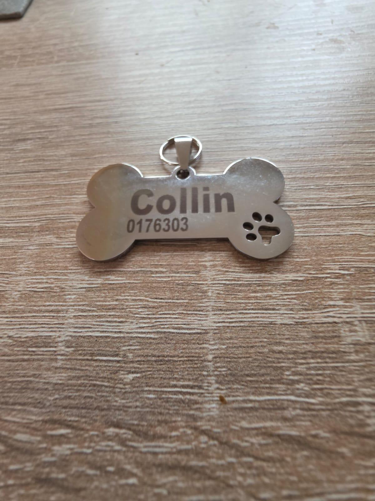Hundemarke Knochen personalisiert